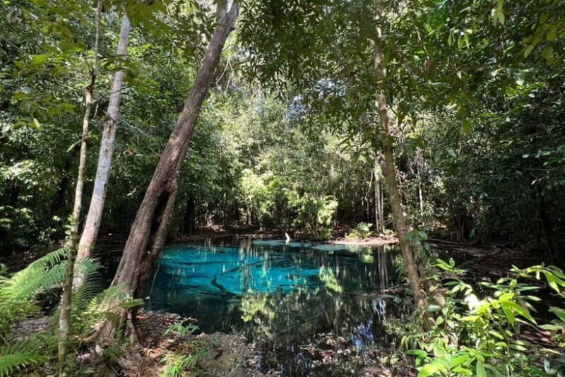 Krabi: Emerald Pool, Hot Springs, and Kayaking Tour - Frequently Asked Questions