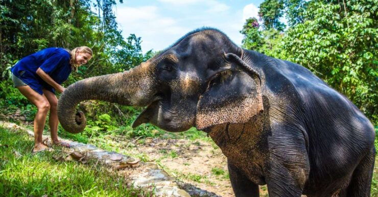 Krabi: Ethical Elephant Sanctuary Experience - Experience Highlights