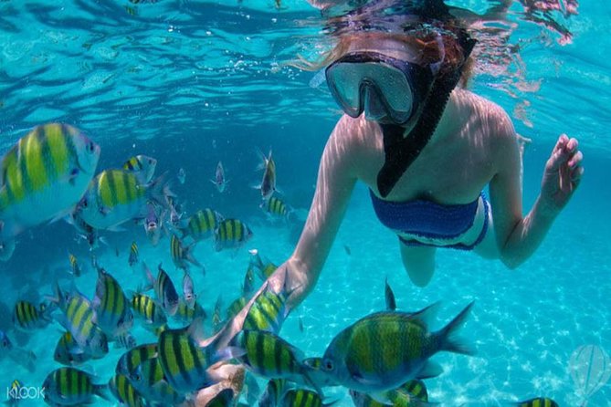 Krabi Full-Day Four Island By Longtail Boat Tour - Questions and Additional Details