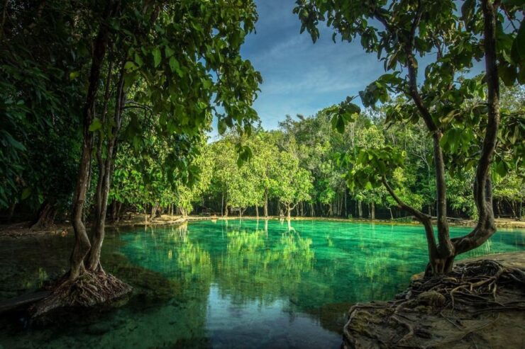 Krabi: Full-Day Jungle Cycling and Emerald Pool Tour - Booking Details