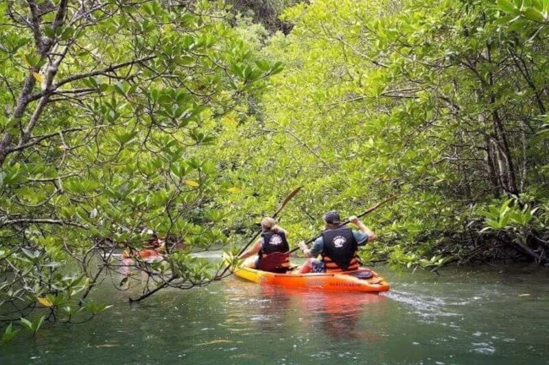 Krabi: Full-Day Kayaking Adventure at Ao Thalane - Who Is This Tour Best For?