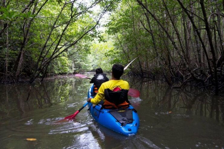 Krabi: Full-Day Sea Kayaking in Baan Bor Thor - Activity Details