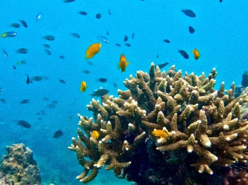 Krabi: Golden Hour 7 Islands & Railay Longtail Boat Escape - Transportation, Timing, and Group Size