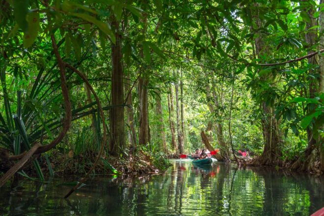 Krabi: Half-Day Blue Lagoon Kayaking at Klong Srakaew & ATV - Review Summary