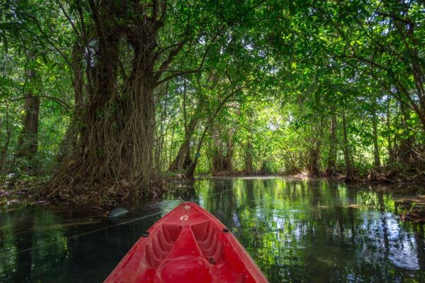 Krabi: Half-Day Blue Lagoon Kayaking at Klong Srakaew & ATV - Helpful Traveler Review