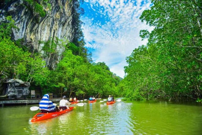 Krabi: Half-Day Bor Thor Mangrove Kayaking Tour - Experience and Activities