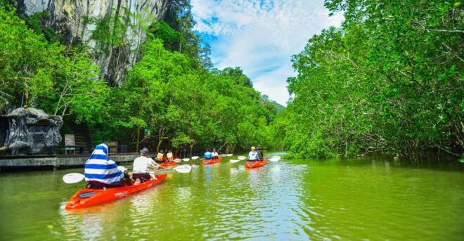 Krabi: Half-Day Bor Thor Mangrove Kayaking Tour - Inclusions and Equipment