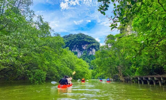 Krabi: Half-Day Bor Thor Mangrove Kayaking Tour - Important Information