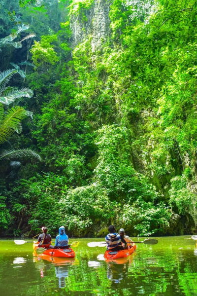 Krabi: Half-Day Bor Thor Mangrove Kayaking Tour - Tips for a Great Experience