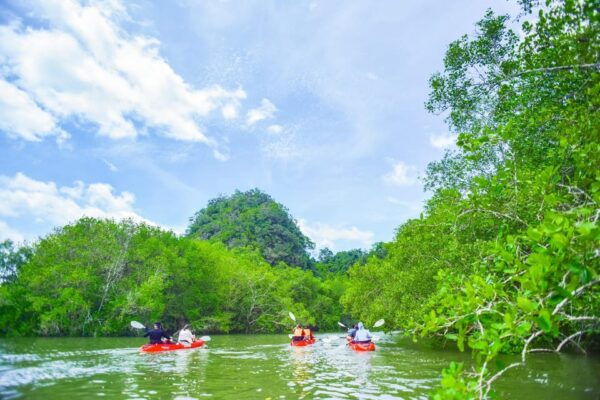 Krabi: Half-Day Bor Thor Mangrove Kayaking Tour - Questions You May Have