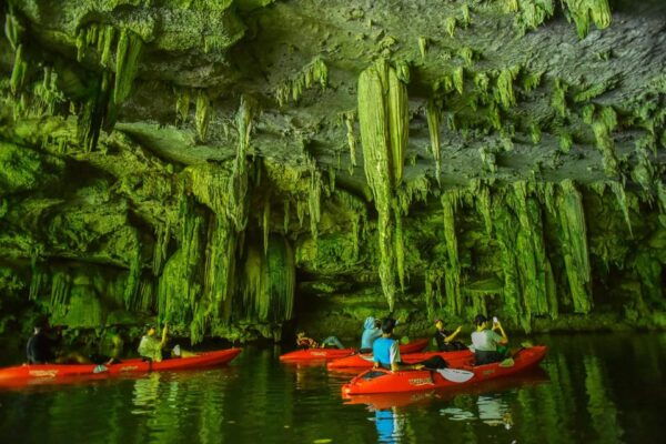 Krabi: Half-Day Bor Thor Mangrove Kayaking Tour - Break Down