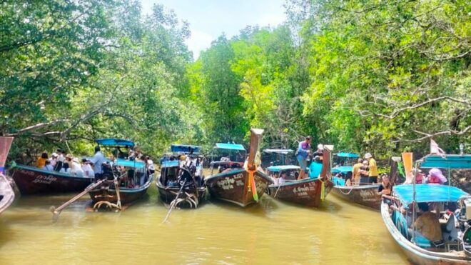 Krabi Half Day Eco Tour Mangrove Boat Trip & Khanap Nam Cave - Lunch Experience