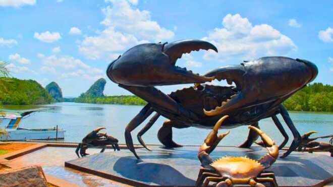 Krabi Half Day Eco Tour Mangrove Boat Trip & Khanap Nam Cave - Important Tour Information
