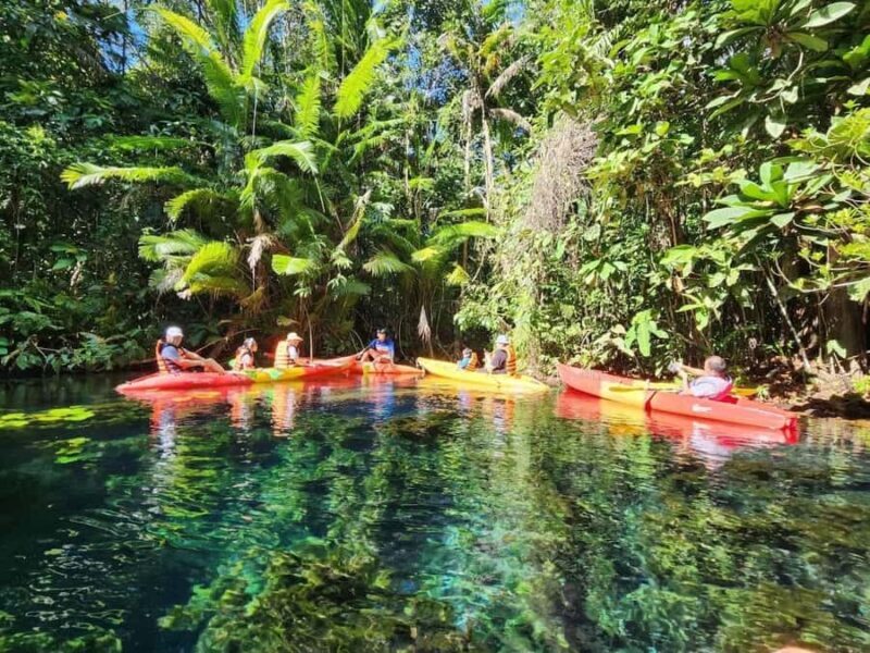 Krabi: Half Day Kayaking Adventure at Khlong Rood - Exploring the Khlong Rood Kayaking Experience in Detail