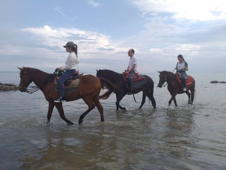 Krabi: Half-Day Kayaking and Horseback Riding Excursion - Experience Highlights