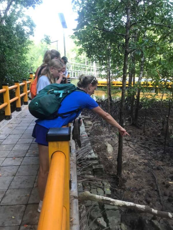 Krabi: Half-Day Mangrove Boat Trip And Khao Khanap Nam Cave - Price and Value for Money