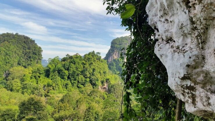 Krabi: Half-Day Zip Line Adventure - Experience
