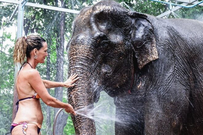 Krabi: Highlights Tour With Krabi Elephant Shelter - Ultimate Elephant Bath Experience