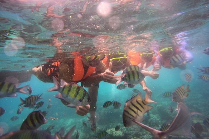 Krabi Hong Islands and Snorkeling by Shared Boat - What To Expect