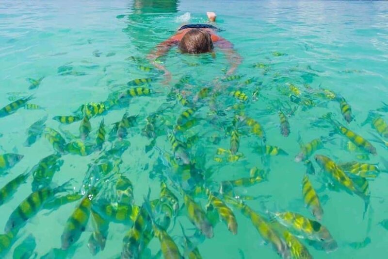 Krabi: Hong Islands by Longtail Boat with Lunch & Snorkeling - Who Is This Tour Best For?