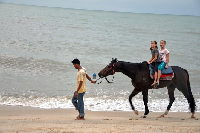 Krabi Horse Riding at Ao Nam Mao Beach - Cancellation Policy and Refunds