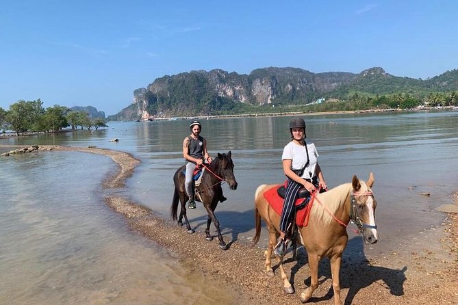 Krabi Horse Riding at Ao Nam Mao Beach - Customer Feedback and Hosts Response
