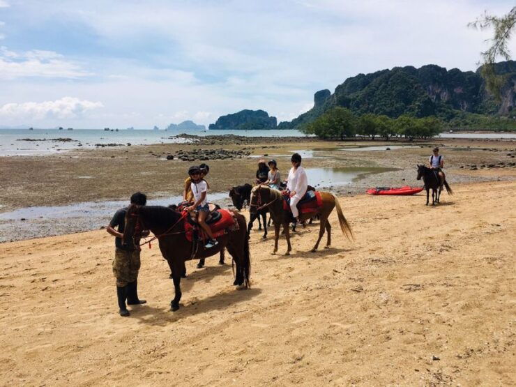 Krabi: Horseback Riding on the Beach - Availability