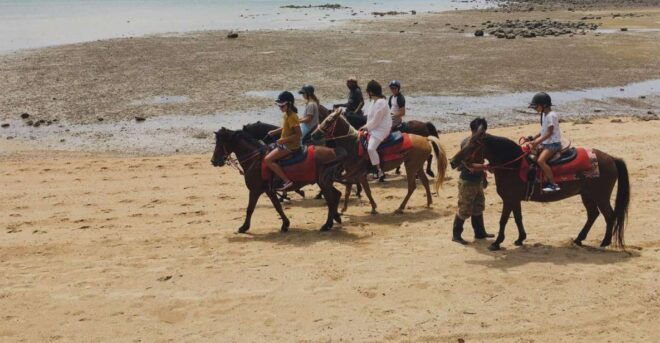 Krabi: Horseback Riding on the Beach - Review Summary