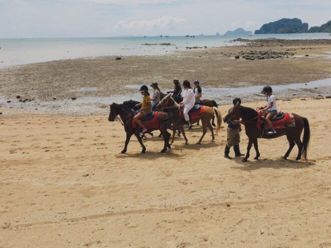 Krabi: Horseback Riding on the Beach - Location Details