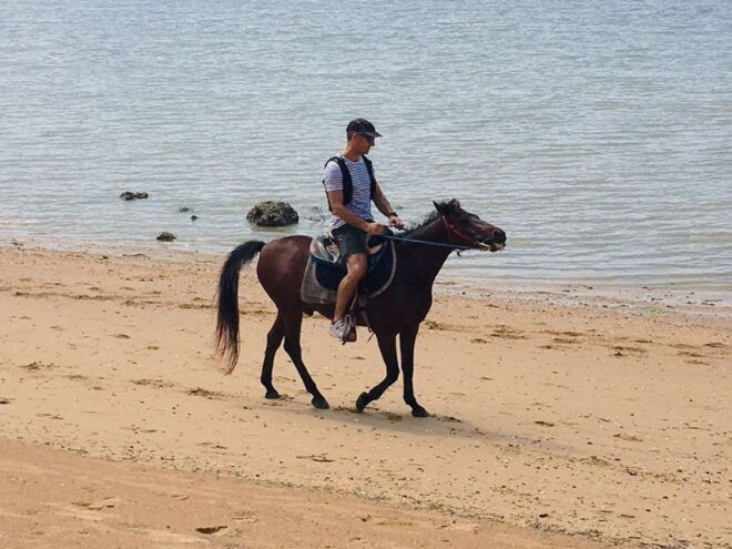 Krabi: Horseback Riding on the Beach - Common Questions