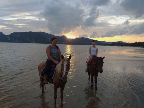 Krabi: Horseback Riding on the Beach - The Sum Up