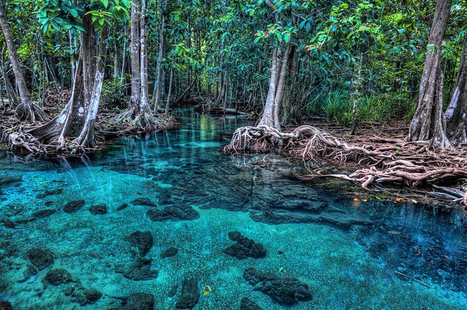 Krabi Hot Spring, Emerald Pool and Kayaking - Tips for a Memorable Experience