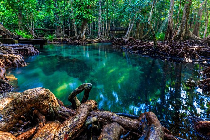 Krabi Hot Spring, Emerald Pool and Kayaking - The Sum Up