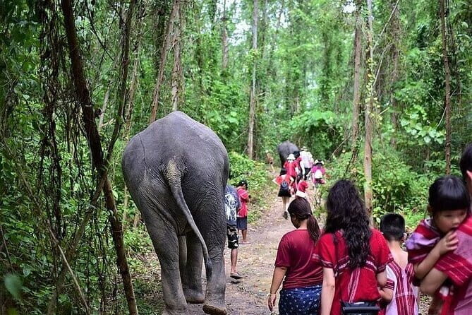 Krabi Immersive Elephant Sanctuary Experience - FAQ