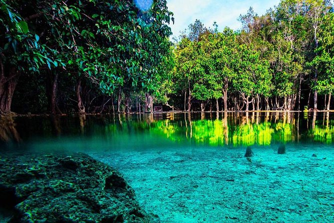 Krabi Jungle Tour With ATV Riding - ATV Riding Experience