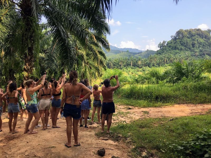 Krabi: Jurassic Jungle Kayaking and Phra Nang Cave Beach Tour - What the price includes, and what it doesn’t