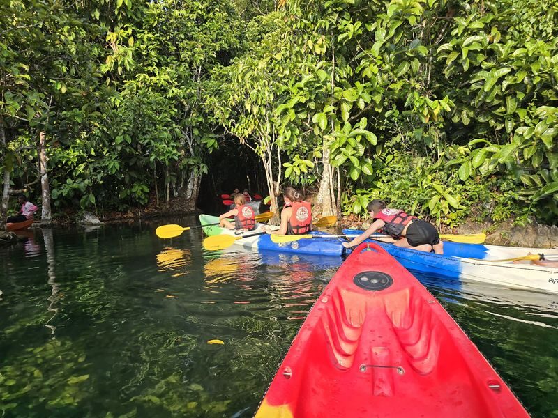 Krabi: Jurassic Jungle Kayaking and Phra Nang Cave Beach Tour - Should you book the Klong Root and Railay tour?