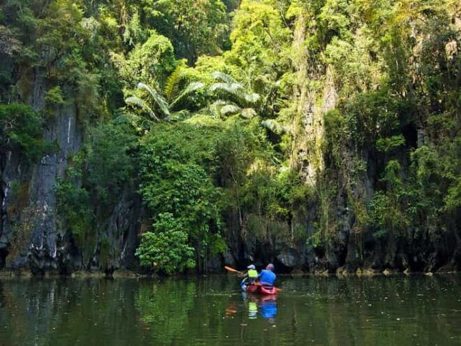 Krabi: Kayak Adventure Through Ao Thalane Mangrove Forest - What to Bring