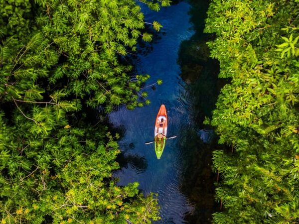 Krabi: Kayak Adventure Through Ao Thalane Mangrove Forest - Booking Your Adventure