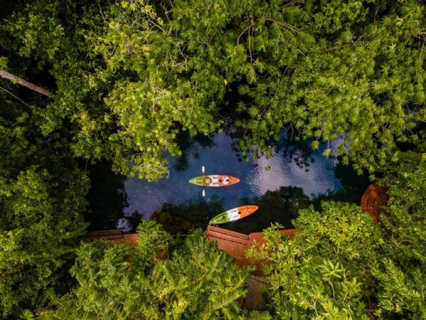 Krabi: Kayak Adventure Through Ao Thalane Mangrove Forest - Break Down
