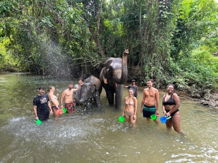 Krabi Kayaking and Elephan Barting - Booking and Payment Details