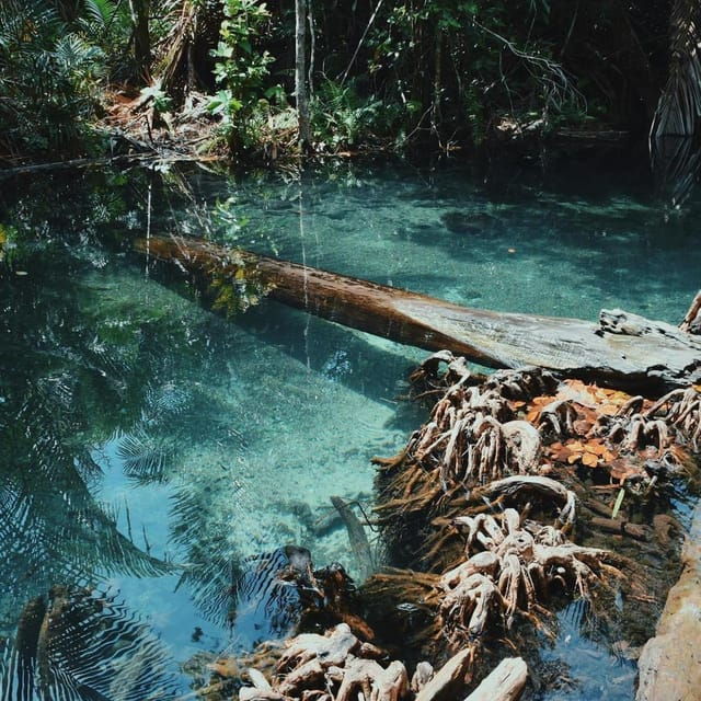 Krabi Kayaking and Swimming Clongrood Tour - Key Points