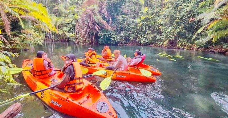 Krabi Kayaking and Swimming Clongrood Tour - Experience Highlights