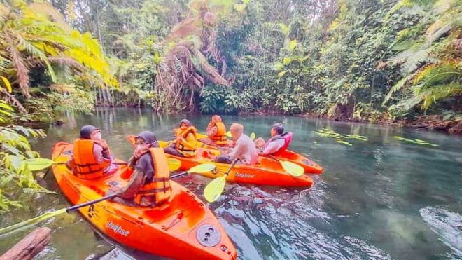 Krabi Kayaking and Swimming Clongrood Tour - Detailed Itinerary