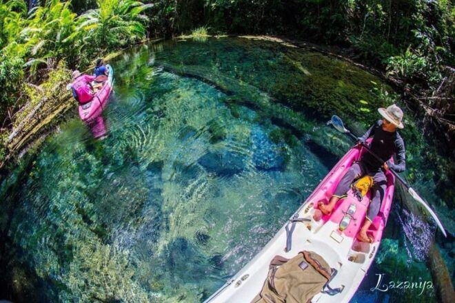 Krabi Kayaking and Swimming Clongrood Tour - Customer Reviews and Ratings
