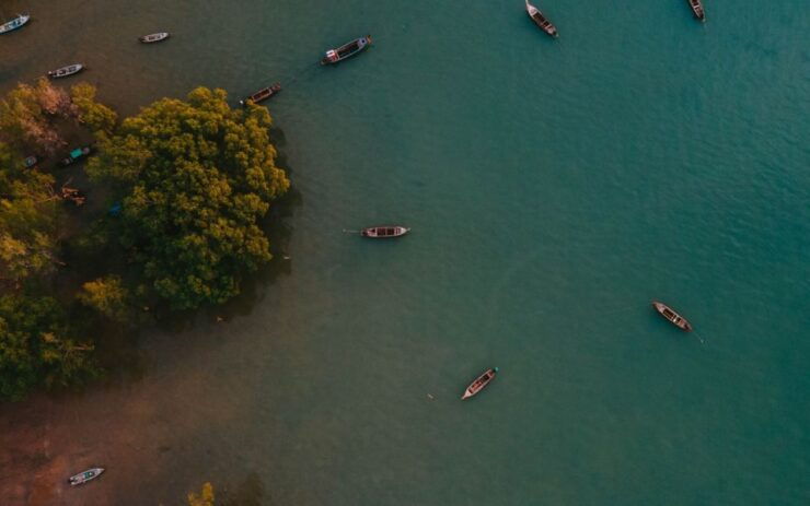 Krabi: Kayaking Ao Thalane and Khaothong Hill Café - Booking Details