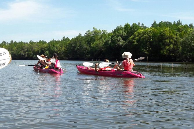 Krabi Kayaking at Ao Thalane - Paddle Through Mangroves and Lagoons