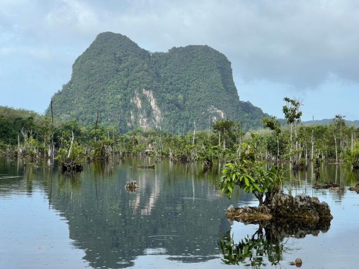 Krabi: Kayaking at Klong Nam Sai, Elephant Bathing & Feeding - Activity Overview