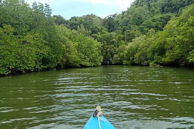 Krabi: Kayaking Tour at Ban Bor Thor Ancient Cave & Mangroves - Pricing and Booking Information