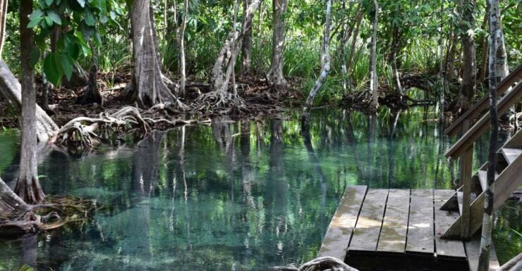 Krabi: Kayaking Tour to Ao Thueak Lagoon With Lunch - Tour Activity Information
